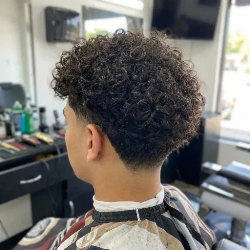 Back and side view of a boy with curly hair on top and a clean low taper fade on the sides, creating a neat and modern hairstyle.