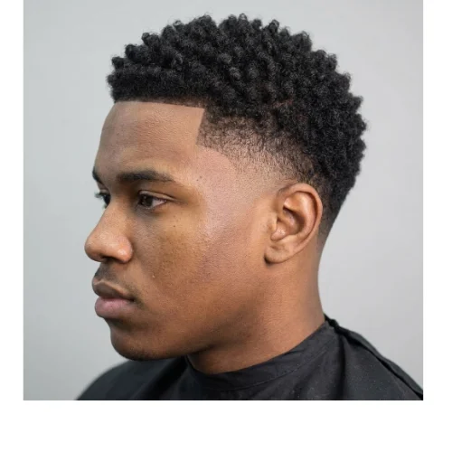 Taper Fade Afro with sponge curls featuring defined curly texture and clean tapered sides