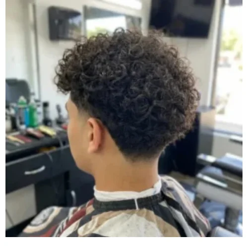 Low taper fade haircut with defined curly hair texture and clean neckline